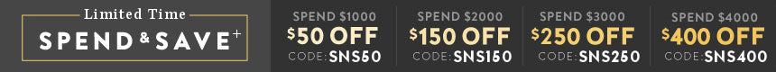 spendnsave-banner